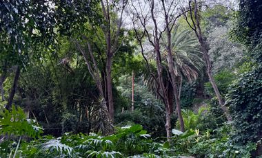 Departamento en venta en Rinconada Margaritas.