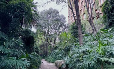 Departamento en venta en Rinconada Margaritas.