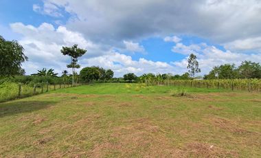 FINCA EN VENTA SECTOR SIERRA CHIQUITA MONTERIA CORDOBA