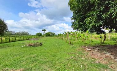 FINCA EN VENTA SECTOR SIERRA CHIQUITA MONTERIA CORDOBA