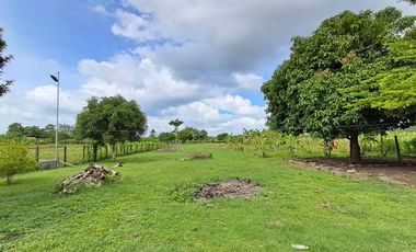 FINCA EN VENTA SECTOR SIERRA CHIQUITA MONTERIA CORDOBA