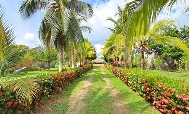 FINCA EN VENTA SECTOR SIERRA CHIQUITA MONTERIA CORDOBA