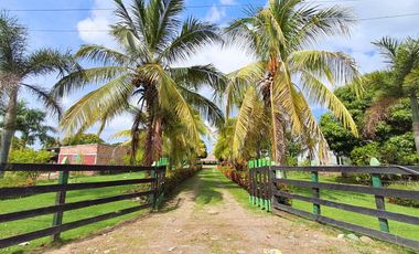 FINCA EN VENTA SECTOR SIERRA CHIQUITA MONTERIA CORDOBA