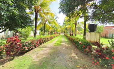 FINCA EN VENTA SECTOR SIERRA CHIQUITA MONTERIA CORDOBA