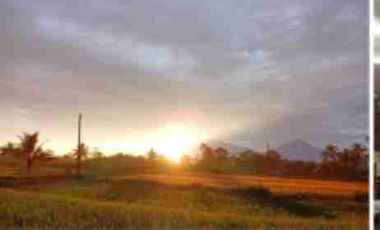 dijual murah villa mewah view gunung magelang, terasa di LN.