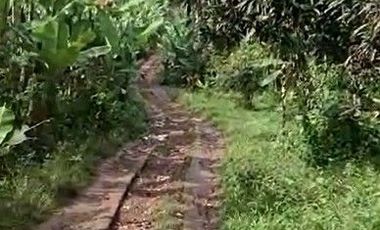 2,5 Ha Tanah Kebun Bisa Untuk Peternakan Ayam, Cipatat, Bandung Barat