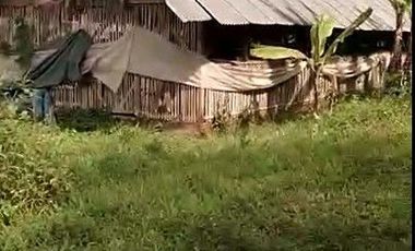 2,5 Ha Tanah Kebun Bisa Untuk Peternakan Ayam, Cipatat, Bandung Barat