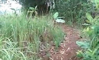 2,5 Ha Tanah Kebun Bisa Untuk Peternakan Ayam, Cipatat, Bandung Barat
