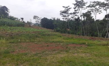 2,65 Ha Tanah Hook Cocok Untuk Perumahan,  Rende, Cikalong Wetan, Bandung Barat