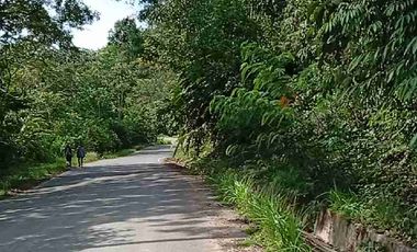 Con acceso, producción, frutales, vista y servicios