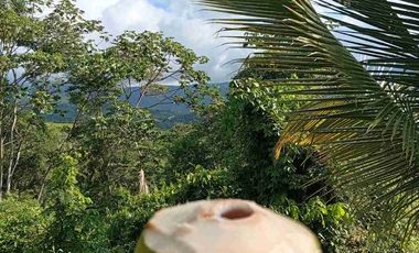 Con acceso, producción, frutales, vista y servicios