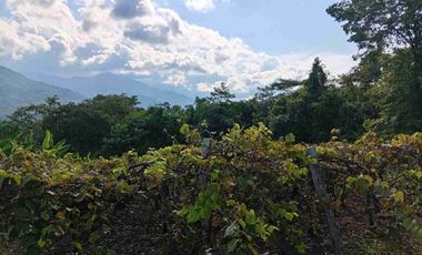Con acceso, producción, frutales, vista y servicios
