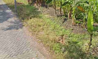 DIJUAL KAVLING TANAH DI KUWUKAN LONTAR SURABAYA BARAT DEKAT INTILAND GRAHA NATURA