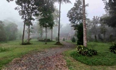 Flash Sale Villa Cafe Komplit Shm di Girikerto Turi NEGO KERAS