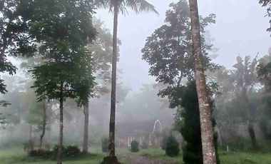 Flash Sale Villa Cafe Komplit Shm di Girikerto Turi NEGO KERAS