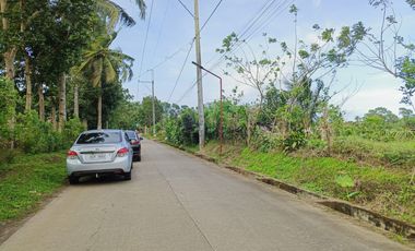 3.3 Hectares CORNER LOT in Bgy. Anuling Lejos 1, Mendez boundary Tagaytay for SALE! TITLED at P 4,500 per sqm