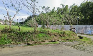 3.3 Hectares CORNER LOT in Bgy. Anuling Lejos 1, Mendez boundary Tagaytay for SALE! TITLED at P 4,500 per sqm