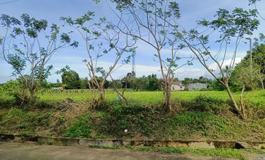 3.3 Hectares CORNER LOT in Bgy. Anuling Lejos 1, Mendez boundary Tagaytay for SALE! TITLED at P 4,500 per sqm