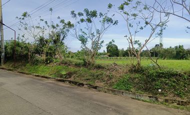 3.3 Hectares CORNER LOT in Bgy. Anuling Lejos 1, Mendez boundary Tagaytay for SALE! TITLED at P 4,500 per sqm
