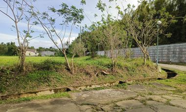 3.3 Hectares CORNER LOT in Bgy. Anuling Lejos 1, Mendez boundary Tagaytay for SALE! TITLED at P 4,500 per sqm
