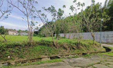 3.3 Hectares CORNER LOT in Bgy. Anuling Lejos 1, Mendez boundary Tagaytay for SALE! TITLED at P 4,500 per sqm