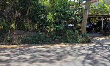 dijual tanah kosong jalan utama uluwatu nyang nyang