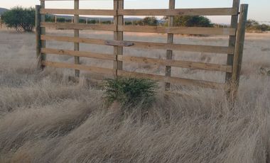Parcela de 5.000 m2 en Cauquenes Región del Maule.
