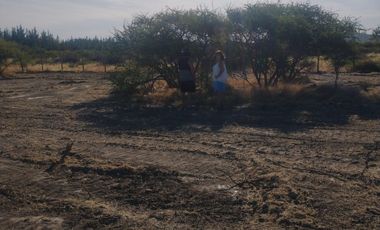 Parcela de 5.000 m2 en Cauquenes Región del Maule.