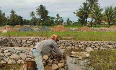 Rumah Cluster Mewah Murah