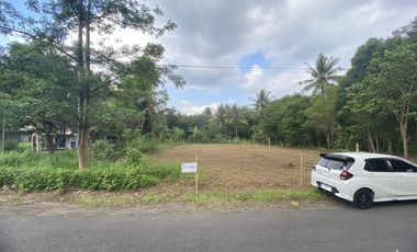 Tanah Kavling Murah Jogja Mangku Jalan Aspal kuloprogo 200m dari Jl Provinsi Kulonprogo-Borobudur