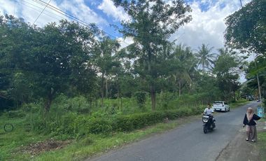 Tanah Kavling Murah Jogja Mangku Jalan Aspal kuloprogo 200m dari Jl Provinsi Kulonprogo-Borobudur