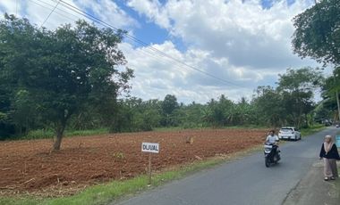 Tanah Kavling Murah Jogja Mangku Jalan Aspal kuloprogo 200m dari Jl Provinsi Kulonprogo-Borobudur