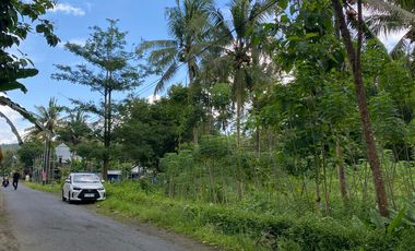 Tanah  murah  900rb-an Dekat Candi Borobudur