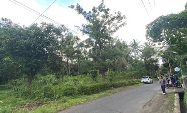 Tanah Kaling 900 ribuan /m Dekat Exit Tol Tempel 7 mnt dari perbatasan Jogja-magelang