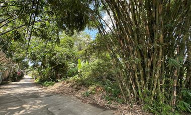 9,44 Are in prime Ubud - Yellow zone