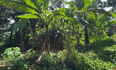 9,44 Are in prime Ubud - Yellow zone