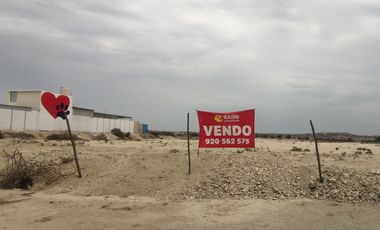 VENDO TERRENO DE 3 HECTAREAS CARRETERA PIURA PAITA