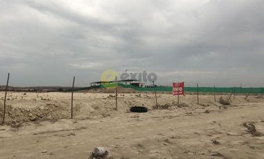 VENDO TERRENO DE 3 HECTAREAS CARRETERA PIURA PAITA