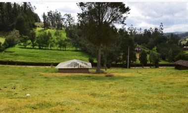 🌟 GRAN TERRENO PARA INVERSION EN EL SECTOR DE TARQUI