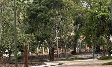 🌲 Lotes en Preventa en Bosque Residencial San Lucas – Coatepec, Veracruz