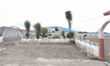 Terreno plano e independiente EN VENTA con Casa 1 planta. Tiobamba-Latacunga.
