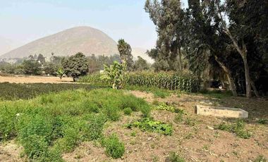 Vendo terreno en Chosica de 4,887m2 en La Cañada - California Baja