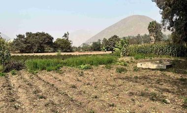 Vendo en Chosica terreno de 4,887m2 en California Baja