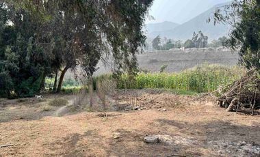 Vendo en Chosica terreno de 4,887m2 en California Baja