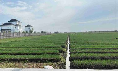 Tanah dijual di Brebes, Brebes, Jawa Tengah