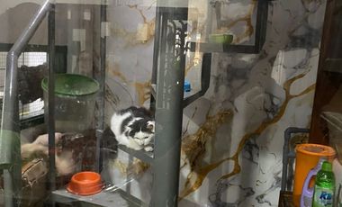 Rumah Jl. Lubuk Lintas, balai gadang, (Dekat kampus UIN Imam Bonjol Padang)