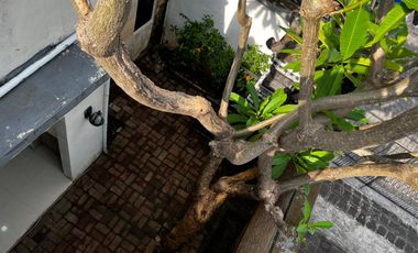 Rumah Area Denpasar Utara Dekat RS & Sekolah