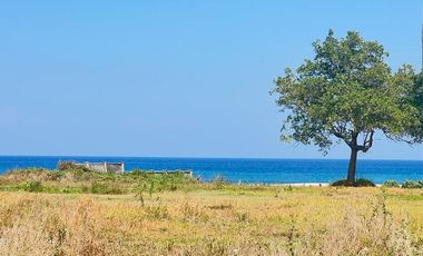 Tanah pinggir pantai Senggigi dekat hotel Living Asia