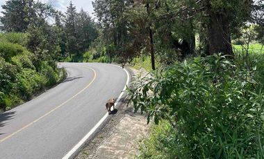 Terreno la desviación