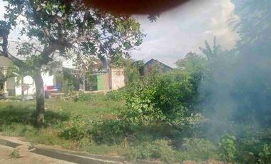 Dijual BU Tanah labuan bajo